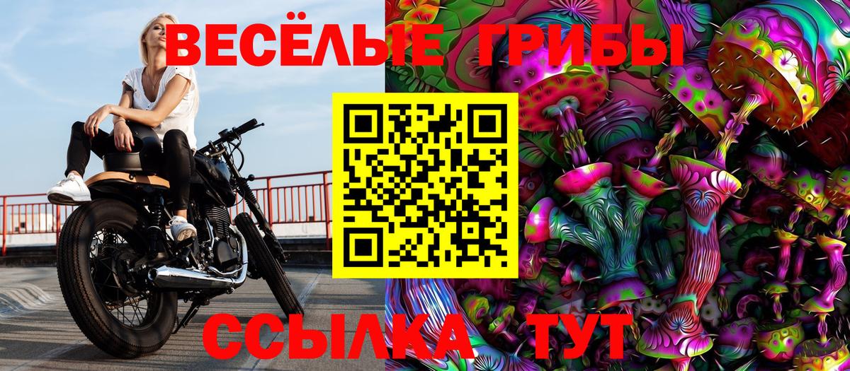 Кириши  как найти наркотики  Вход с VPN  Галлюциногенные грибы мухоморы  Галлюциногенные грибы MAGIC MUSHROOMS 